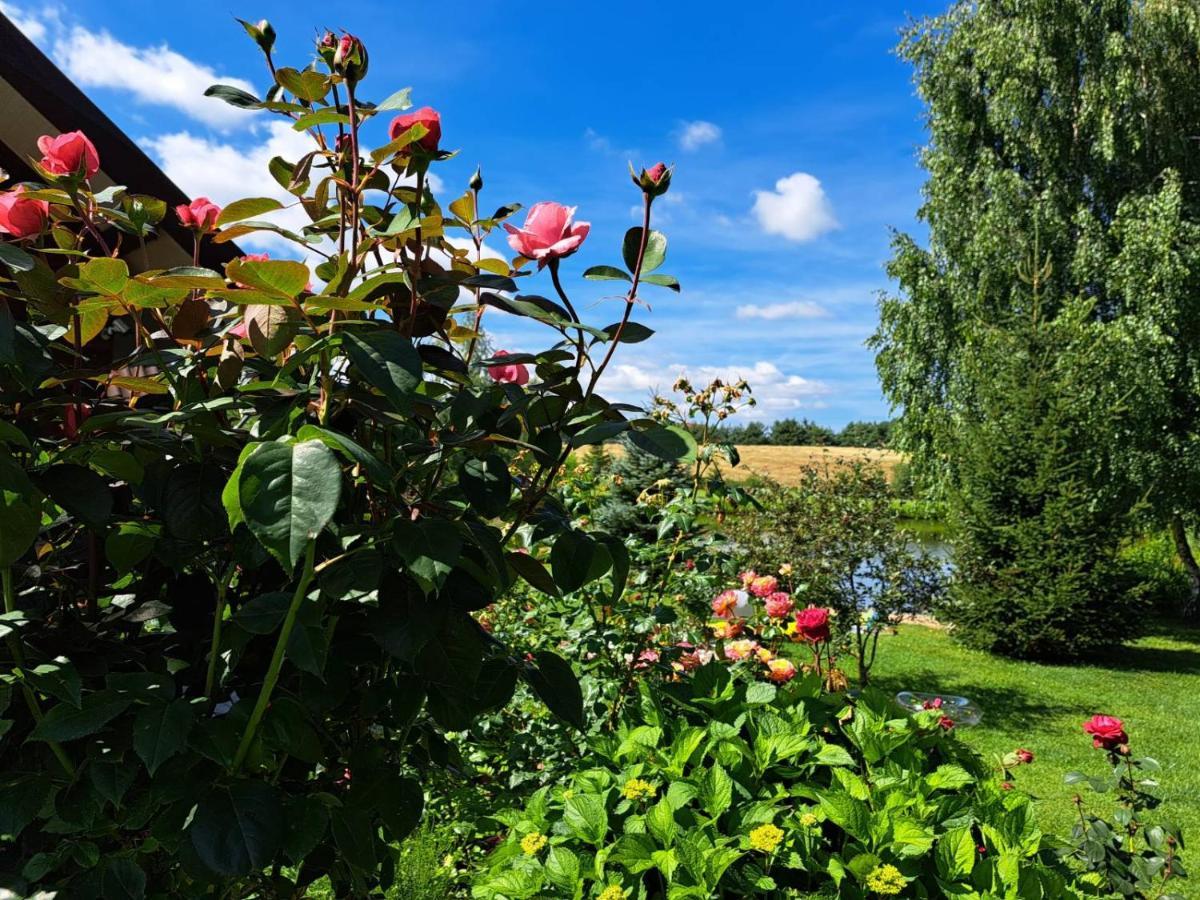 Wczasy Mazurskie - Domek Caloroczny Bez Mazury Moldzie ภายนอก รูปภาพ